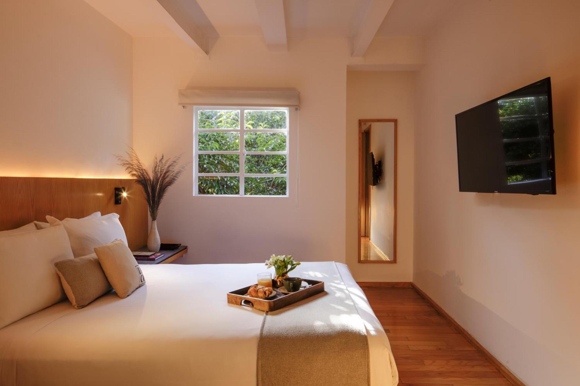 Casa Decu Hotel Mexico City Eksteriør billede